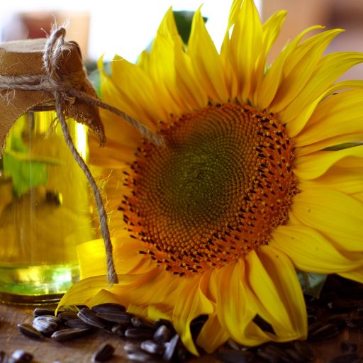 Crude sunflower oil unrefined