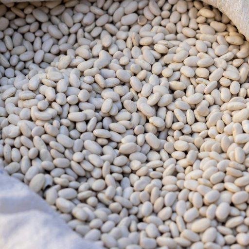 pexels-enginakyurt-10111852